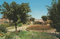 Derbyshire Miners Holiday Centre Skegness Lincs Postcard
