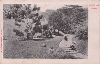 Deserted Baskets Garden Penang Malaysia Kaulfuss No 36 Old Postcard