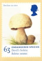 Devils Molete Mushroom Rare First Day Cover Postmark Postcard
