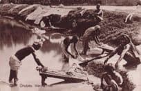 Dhobies Washermen Calcutta India Antique Rare Real Photo Postcard