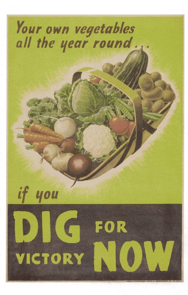 Dig For Victory Now Basket Of Vegetables Military WW2 Poster Postcard