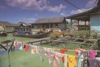 Dirty Laundry Washing Line at Kampong Air Masin Kukup Malaysia Postcard