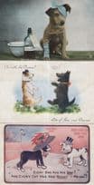 Dog Antique Comic 3x Dogs Postcard s