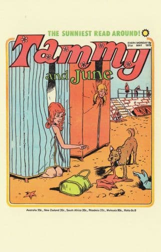 Dog At Beach Changing Cubicles Tammy Girls 1970s Comic Postcard