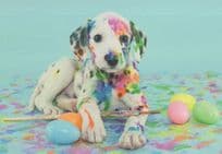Dog Covered In Rainbow Paint Disaster Comic Postcard