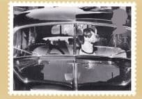 Dog Driving A Classic Car Comic Real Photo Postcard