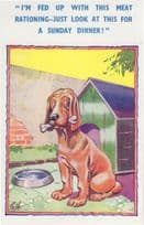 Dog Food Dinner Bone Rations Old Comic Postcard