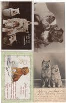 Dog Having Egg For Breakfast & Real Photo 4x Old Postcard s