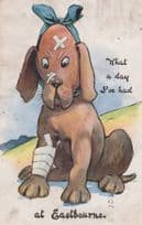 Dog & Hospital Bandages Plaster At Eastbourne Sussex Old Comic Postcard