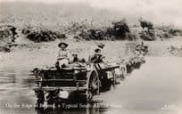 Dog & Safari Hunting Team River Transport South African Real Photo Old Postcard