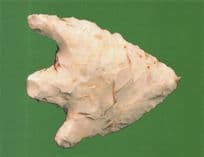 Don Gorge Antique Arrowhead Doncaster Artefact Museum Postcard