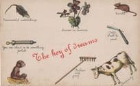 Dreams Fortune Telling Keyring Divination Old Comic Postcard