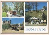 Dudley Zoo Gift Souvenir Shop & Train Rare 1980s Postcard
