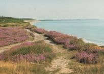 Dunwich Heath Suffolk National Trust Postcard