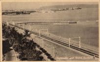Durban Esplanade & Docks South Africa Antique Postcard