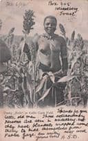 Dusky Ruth In Kaffir Corn Field Ethnic Farming Asian Old Postcard