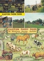 Easton Farm Park Wickham Market Zoo Suffolk 2x Postcard