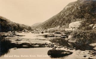 Ebb & Flow Buffalo River East London South Africa RPC Postcard