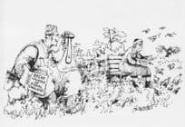 Eccentric Camper Binoculars Bread Crumbs Peeping Tom Comic Postcard