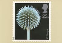 Echinops Flower Limited Edition Postcard