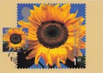 Eden Projects St Austell Royal Mail First Day Cover Postcard