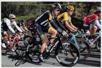 Edvald Hagen Norway Cyclist Race Cycling 12x8 Hand Signed Photo