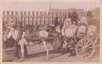 Egyptian Women Old Transport Horse & Cart Real Photo Postcard