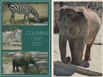 Elephant At Columbus Ohio & Washington Zoo 2x Postcard s