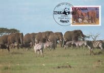 Elephant s Of Uganda With Zebras WWF Stamp First Day Cover Postcard