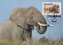 Elephant Uganda Eating Grass Rare WWF Stamp First Day Cover Postcard