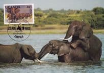 Elephant Ugandan Washing Swimming WWF Stamp First Day Cover Postcard