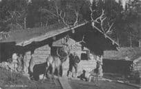 Elk Lodge Minnesota Old Animal Hunting Hunters Antler Trophy Head USA Postcard