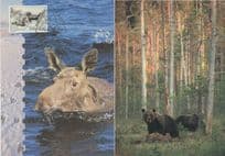 Elks Aland Finland First Day Cover & Brown Bear 2x Postcard s