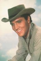 Elvis Presley Classico Official San Fransisco 105-734 USA Photo Postcard