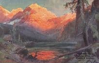 Empress Hall Tyrolian Village Austria 1906 Exhibition Antique Postcard