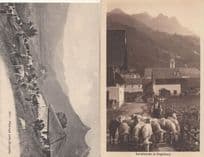 Engelberg Arnialp Schafherde Farming Switzerland 2x Postcard s