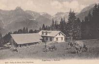 Engelberg Switzerland Arnialp Antique Farming Mint Postcard