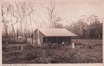 English Settlers In Australia Antique Postcard
