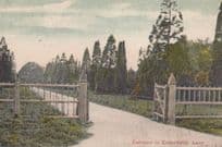 Entrance To Kennelride Ascot Antique 1907 Postcard