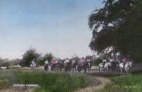 Epping Forest Horse & Hounds Equestrian Meet Old Postcard