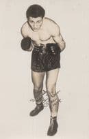 Eric Boy Boon Fen Tiger Antique Boxing Facimile Signed Old Postcard