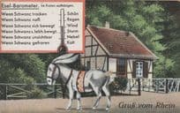 Esel Barometer German Pony Horse Antique Postcard