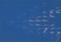 EU European Presidency 3D Political 2005 Voting Three Dimensional Postcard