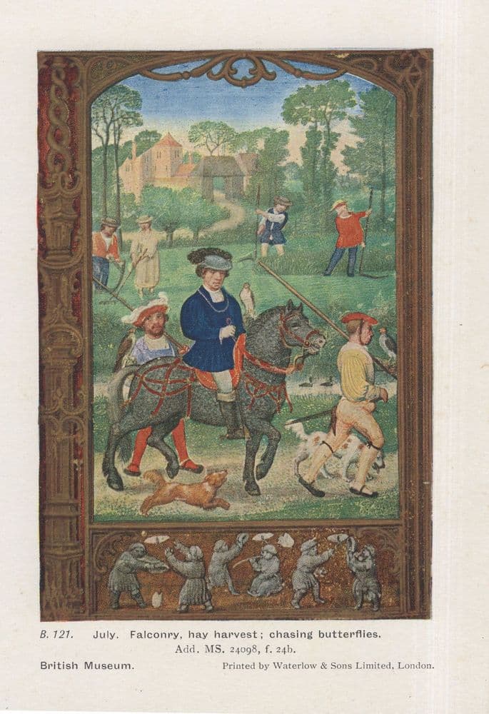 Falconry Middle Ages Medieval Sport Old PB Museum Postcard falconry-middle-ages-medieval-sport-old-pb-museum-postcard