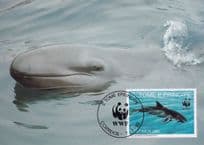 False Killer Whale WWF First Day Cover Postcard
