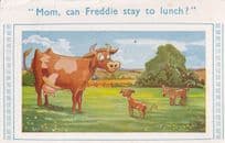 Farm Cow Calf Field Cattle Udder Feeding Cows Comic Postcard
