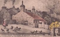 Farm Hens at Jeanie Dean's Cottage Edinburgh Phillimore Old Postcard