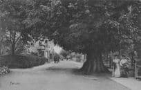 Farum Denmark Antique Rare Postcard