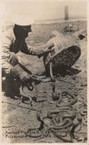 Fearless Freddie Poisonous Snakes Pets Durban Park South Africa Old Postcard