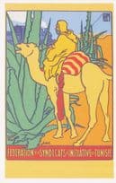 Federation Of Syndicats Initiative De Tunisie Camel Poster Postcard